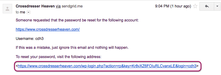Password Reset Email